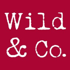 Agent logo