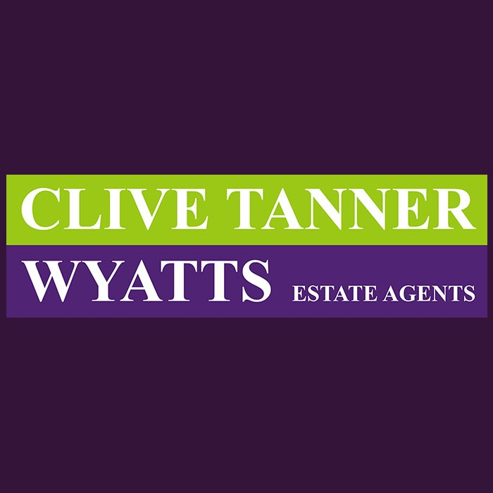 Agent logo